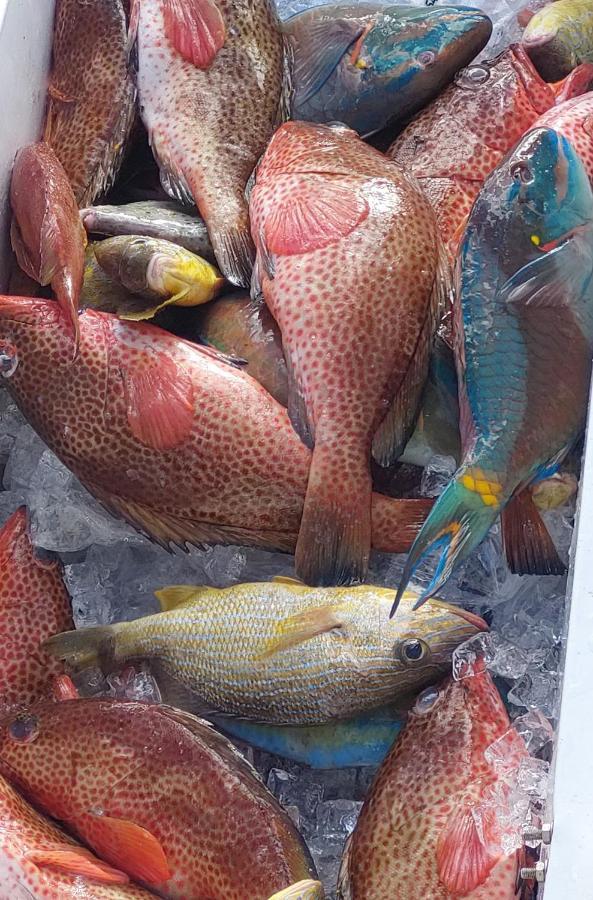 Fresh Cool Love Marigot  Exterior photo